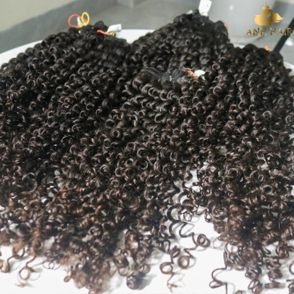 Curly Human Hair Bundles Tight Curl Raw Vietnamese Hair Unprocessed Virgin Tangle-Free No Shedding Wholesale
